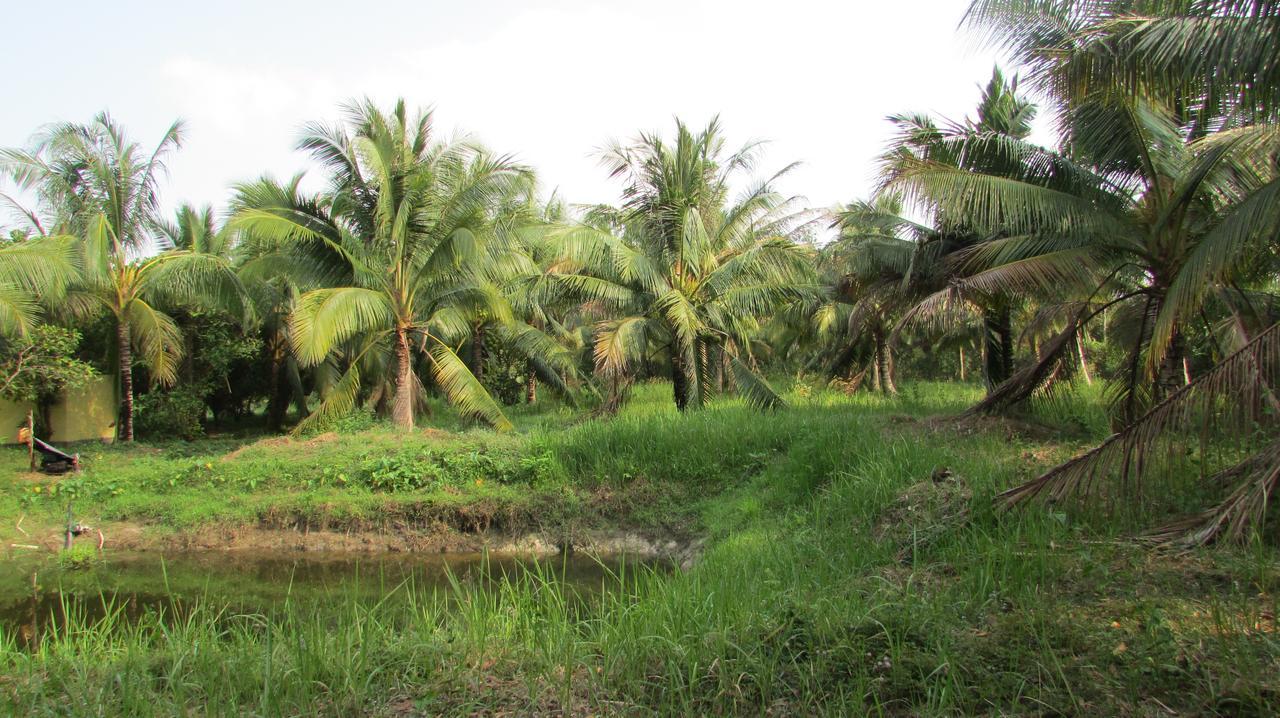 Orchard Fruit Farm Bungalow Phú Quốc Ngoại thất bức ảnh
