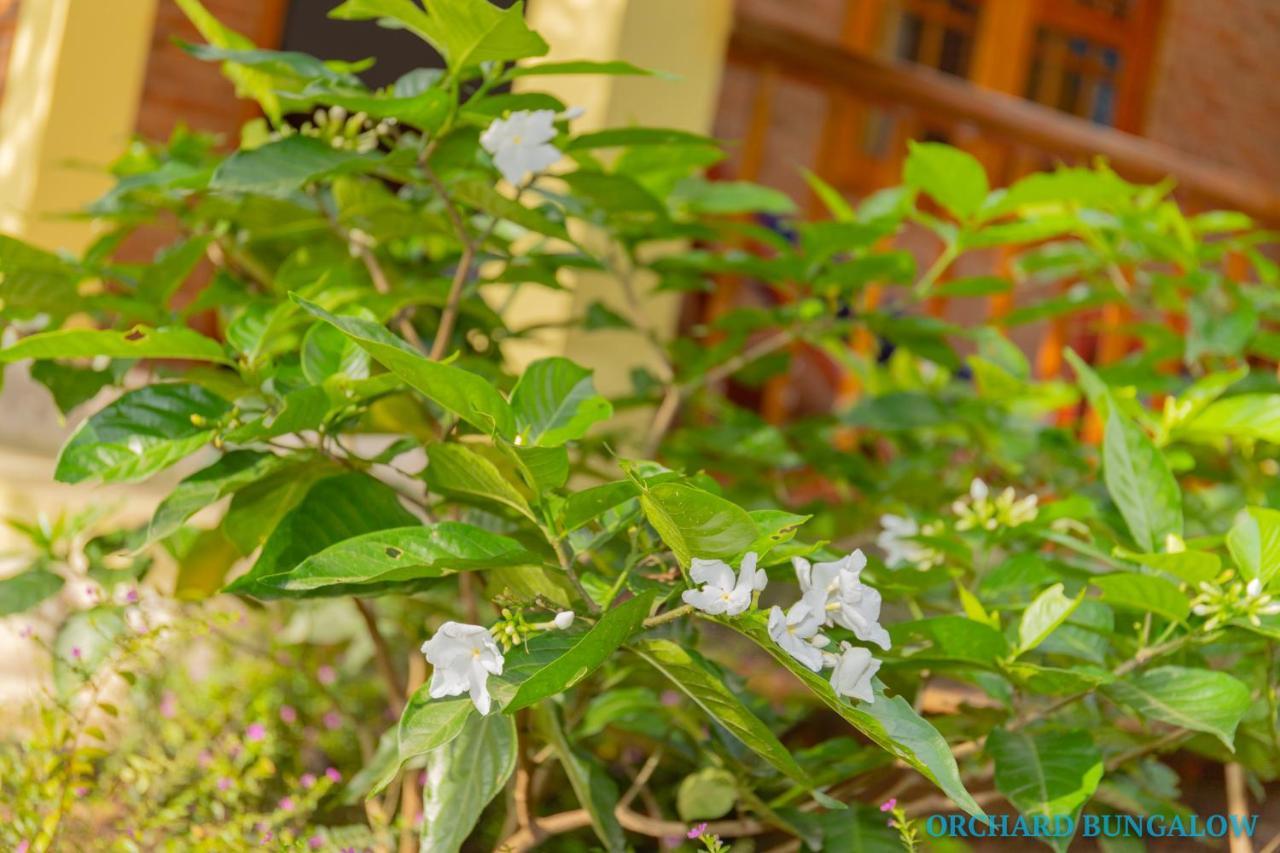 Orchard Fruit Farm Bungalow Phú Quốc Ngoại thất bức ảnh
