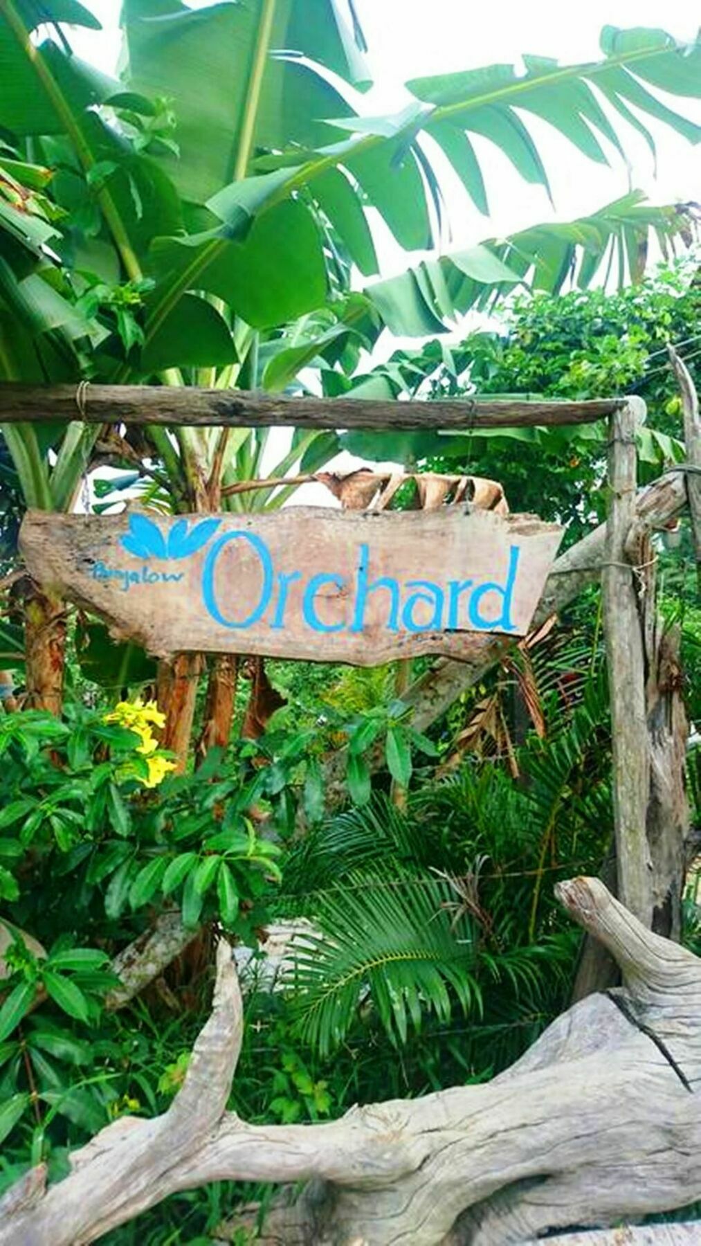 Orchard Fruit Farm Bungalow Phú Quốc Ngoại thất bức ảnh