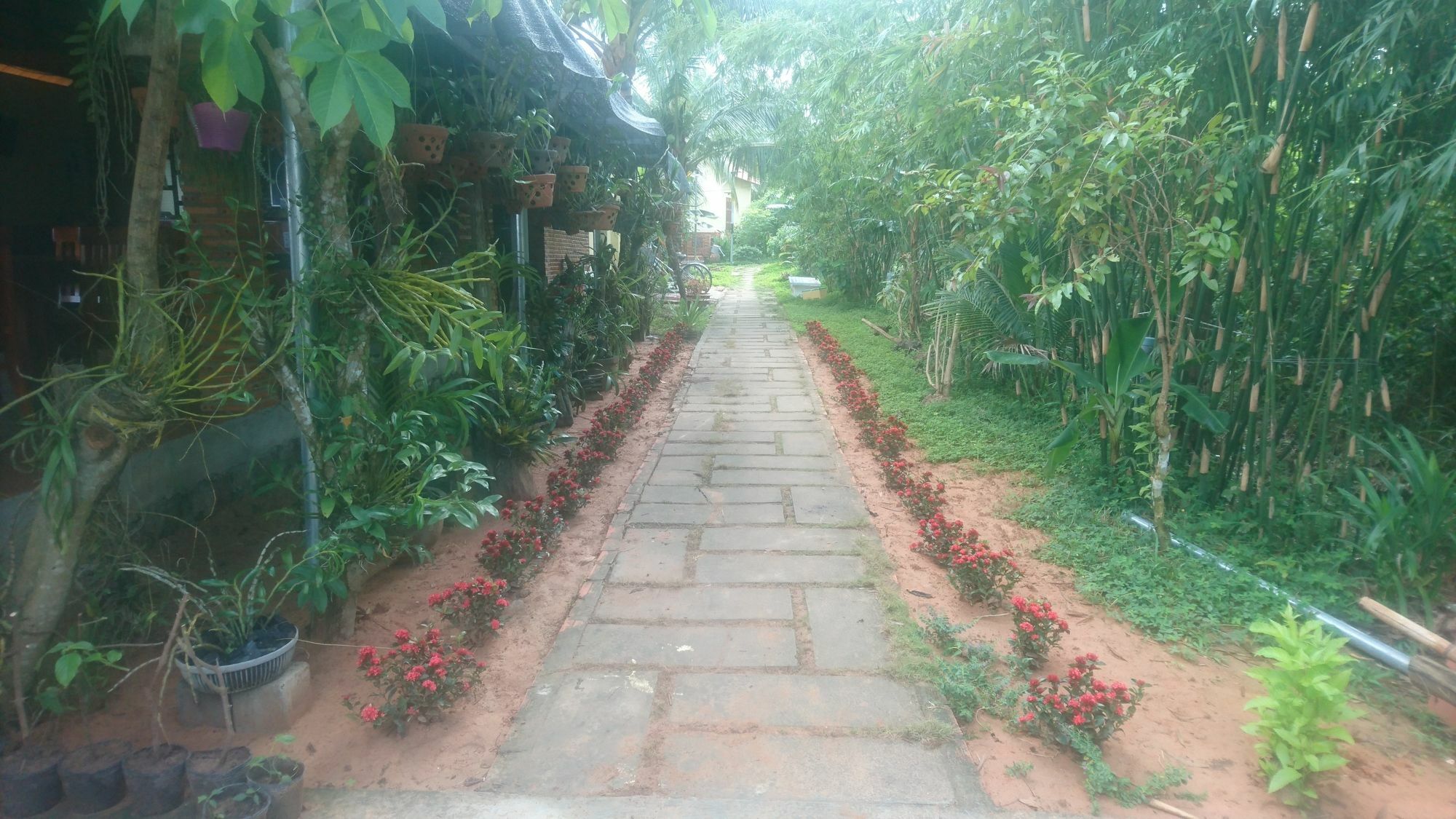 Orchard Fruit Farm Bungalow Phú Quốc Ngoại thất bức ảnh